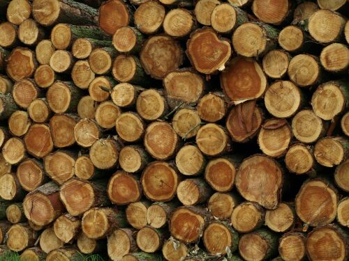 Lemn: Preturile in 2026 pentru materialele lemnoase neidentificate